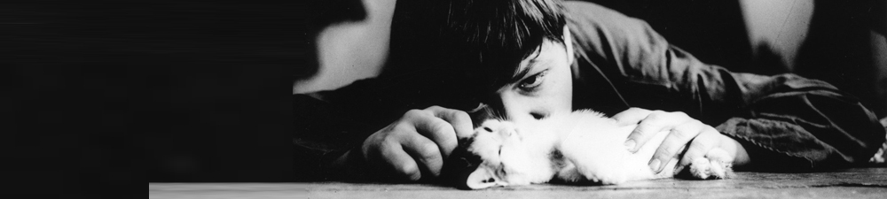 Fassbinder